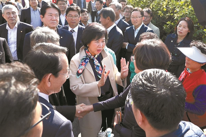 지난해 10월 25일 전남 목포에서 이뤄진 국회 문화체육관광위원회 현장 국감에서 손혜원 의원이 서산온금지구 재건축 조합원들로부터 항의를 받고 있다. 연합뉴스