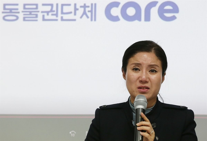 구조동물 안락사 논란을 빚은 동물권단체 '케어' 박소연 대표가 19일 오전 서울 서초구의 한 건물에서 열린 기자회견에서 울먹이며 의혹에 대해 해명하고 있다. 연합뉴스