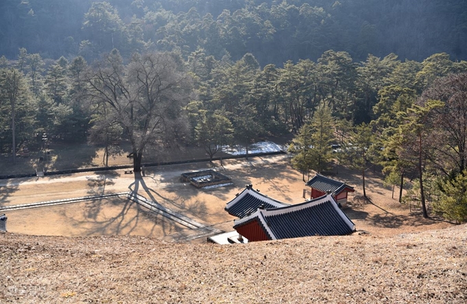 장릉으로 가는 능선에서 내려다본 정자각.