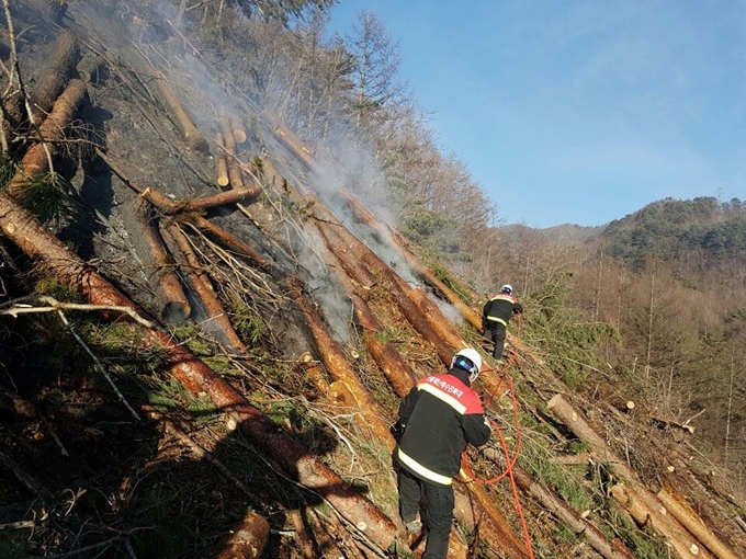 22일 강원 태백시 백산동 인근 야산에서 산불이 발생한 가운데 진화대원들이 진화작업을 벌이고 있다. 동부지방산림청 제공