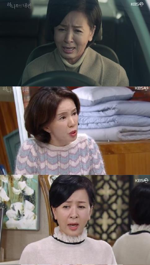 ‘하나뿐인 내편’ 이혜숙과 임예진이 전세가 역전됐다.KBS 방송캡처