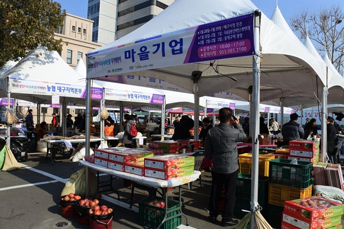 29일 대구시청 앞 주차장에 설맞이 '도농상생 우수농산물 직거래 장터'가 열리고 있다. 내달 3일까지 두류공원 인라인 스케이트 장 등에서 잇따라 열리는 직거래 장터에서는 대구시 구군 추천 지역대표 농축수산물과 사회적 기업 제품 160여 종이 시중가보다 저렴하게 선보인다. 윤희정기자 yooni@hankookilbo.com