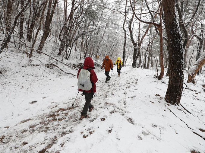 울산에 대설주의보가 발령된 31일 오전 울산시 울주군 상북면 가지산에서 등산객들이 눈 덮인 산을 오르고 있다. 연합뉴스