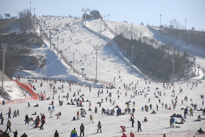 양산 에덴밸리 스키장. 경남도 제공