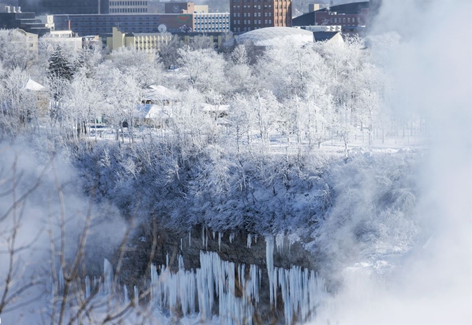 미 중북부, 캐나다에 ‘폴라 보텍스(polar vortex•북극 소용돌이)’으로 인한 기록적인 한파가 강타한 가운데 31일(현지시간) 캐나다 온타리오주 나이아가라 폭포의 아메리칸 폭포 옆의 나무에 눈과 얼음꽃이 활짝 피어 있다. AP 연합뉴스