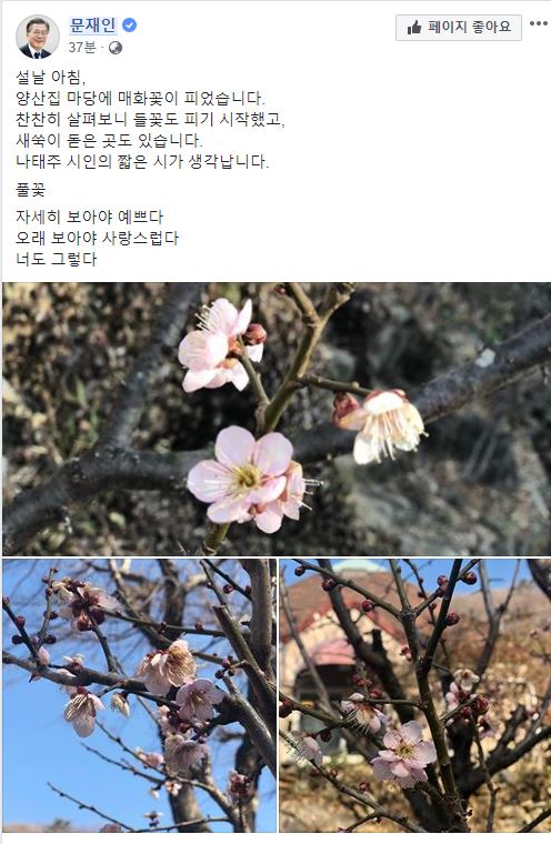 문재인 대통령 설날 인사. 문대통령 페이스북