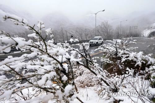 강원 산간에 내리는 눈. 연합뉴스