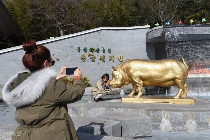 8일 오전 마산 돝섬을 찾은 관광객이 황금돼지상을 배경으로 기념촬영을 하고 있다. 창원=전혜원 기자