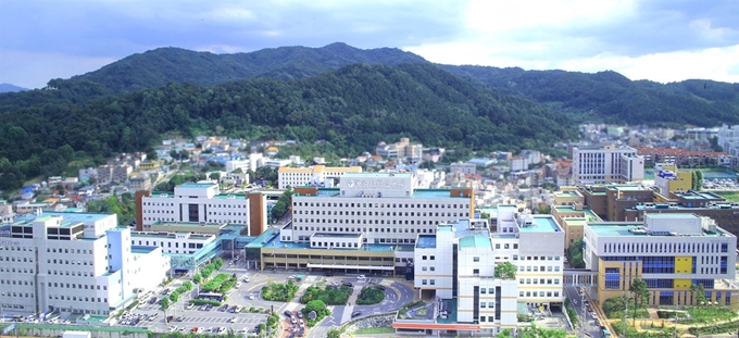 충남대병원 전경. 충남대병원 제공.