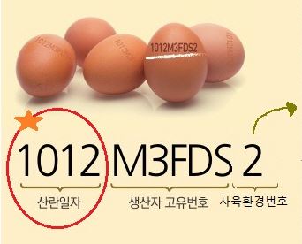 식품의약품안전처가 21일 발표한 달걀 껍데기 산란일자 표시제도 설명도. 산란일자 표시 시행에 따라 달걀 껍데기에 표시되는 생산정보 맨 앞에 산란일자 4자리 '△△○○(월일)'가 추가된다. 식품의약품안전처 제공