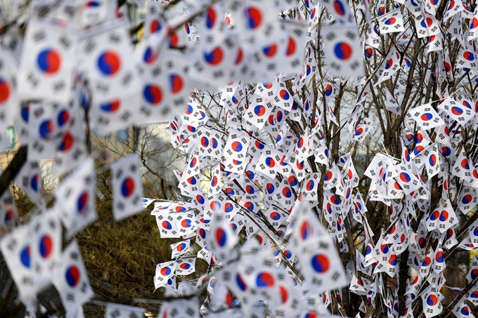 소설토지사랑회 회원과 원주시민들이 소형태극기 1919개를 제작해 강원도 원주시 강원감영 앞 나무 2그루에 장식했다. 연합뉴스