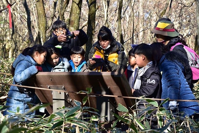 한라산국립공원관리소는 3월부터 한라산 어리목광장, 성판악탐방로, 관음사야영장 일대에서 새봄맞이 생태ㆍ체험프로그램을 운영한다. 한라산국립공원관리소 제공.