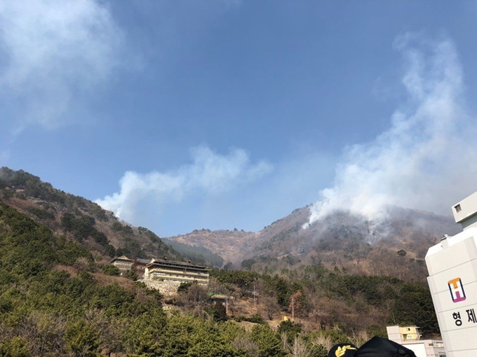 부산 승학산에서 발생한 산불. 부산경찰청 제공