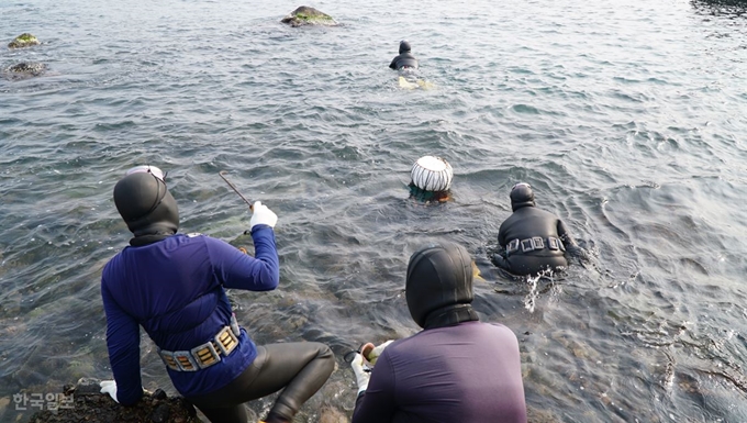 경북 포항 구룡포 해녀들이 포항 남구 구룡포읍 구평리 앞 바다로 입수하고 있다. 김정혜기자