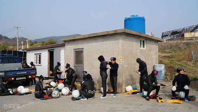 경북 울진 고포에서 경주 감포까지 경북 동해안을 거의 매일 누비는 포항 구룡포 해녀들이 물질에 나갈 채비를 하고 있다. 김정혜기자