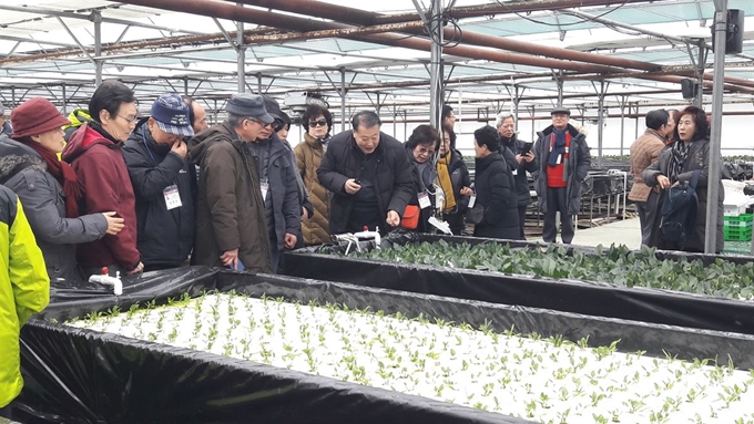 7일 경북 문경시 산골에서 단기간 생활하는 공동체 마을이 문을 연 가운데 은퇴 공무원들이 하우스 농작물을 둘러보며 뜻 깊은 시간을 보냈다. 문경시 제공