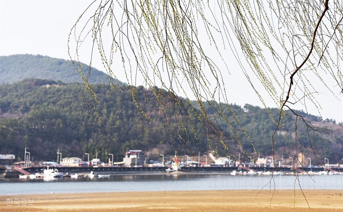 섬진강 끝자락 배알도 수변공원에서 본 망덕포구 풍경.