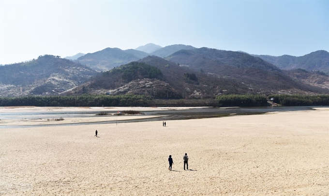 드넓은 모래사장이 형성된 악양면 평사리공원. 강 너머 광양 다압면 산자락에 매화가 하얗게 피어 있다.