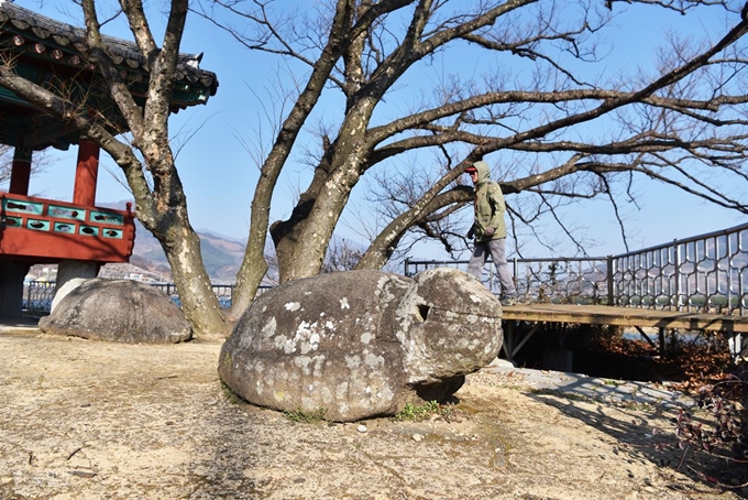 매화마을 앞 섬진진의 두꺼비 모양 좌대.