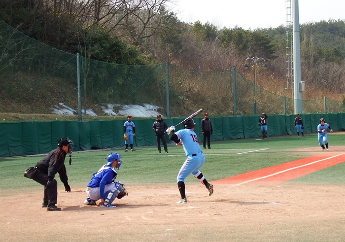 전국 중학교 야구대회