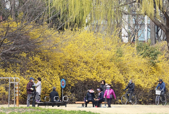 꽃샘추위가 물러가고 봄기운이 완연한 18일 오후 노란 개나리가 활짝 핀 대구 신천둔치에서 시민들이 봄을 만끽하고 있다. 뉴스1