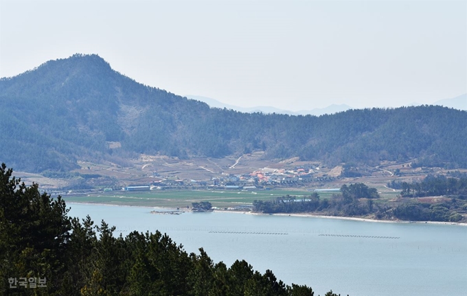 한재고개에서 본 선학동마을. 학의 날개에 포근히 안긴 형상이다. 이청준의 ‘선학동 나그네’를 영화화한 임권택의 ‘천년학’을 찍은 곳이다.