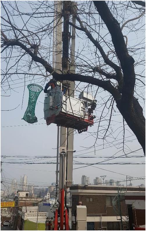 나무에 매달린 길고양이 구조하는 소방관. 인천 중부소방서 제공=연합뉴스