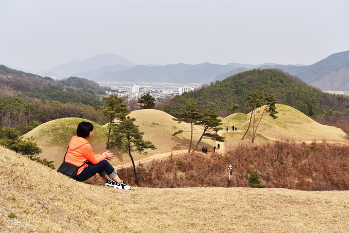 무덤 능선도 탐방로도 둥글둥글, 모난 마음도 한결 부드러워진다.