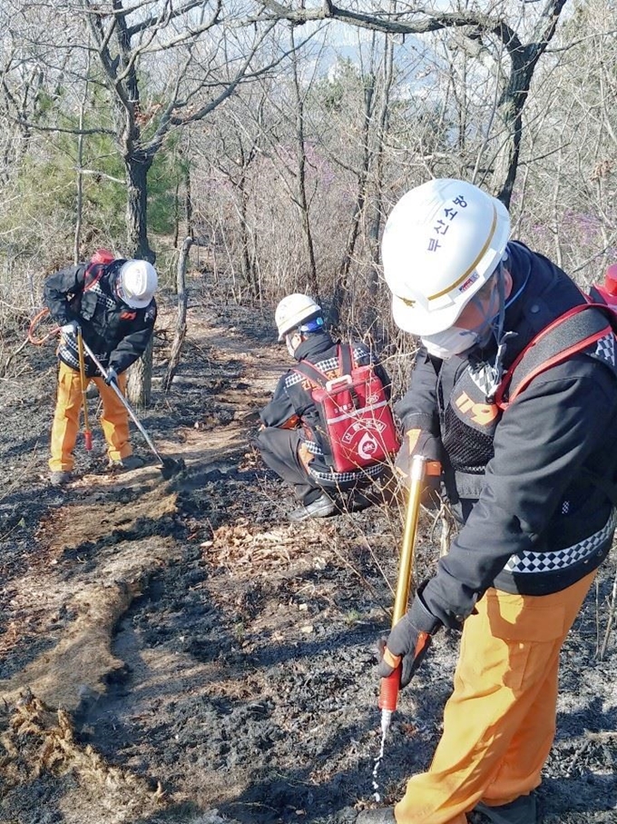 3일 오전 부산 해운대 운봉산에서 소방대원들이 잔불을 정리하고 있다. 3일 오전 9시 현재 운봉산 산불이 90%가량 진화되며 큰 불길은 잡혔다. 밤사이 지속한 산불에 임야 20ha(소방당국 집계, 약 20만㎡·축구장 28개 면적)가 소실됐다. 부산소방본부 제공=연합뉴스