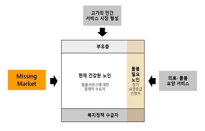 건강한 노인 시장 공백. KDI 제공