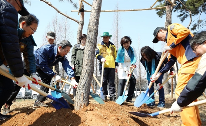 경기도 관계자들과 주민들이 3일 평택 포승국가산업단지 일대 1ha(1만㎡)에 미세먼지 저감 효과가 뛰어난 것으로 전해진 스트로브 잣나무, 산철쭉 등 6,300여 그루의 나무를 심고 있다. 경기도 제공