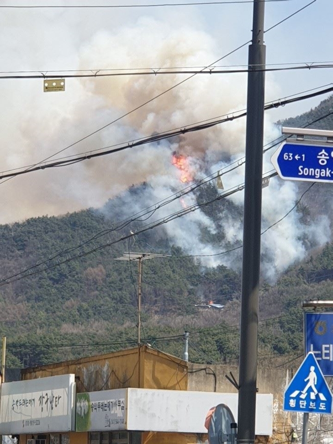 4일 오전 11시 48분께 충남 아산시 송악면 설화산 6부 능선에서 불이 나 소방당국이 진화작업을 펼치고 있다. 사진=뉴시스 독자 제공