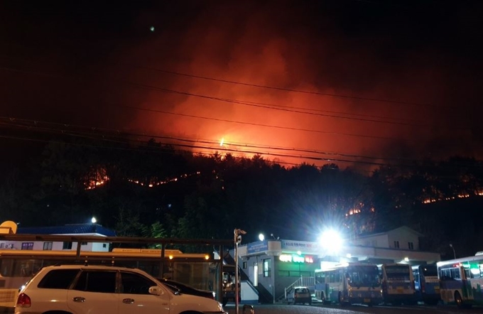 5일 오전 0시 24분쯤 부산 운봉산에서 세번째 재발화가 발생했다. 부산경찰청 제공