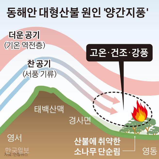 동해안 대형산불 원인 '양간지풍'