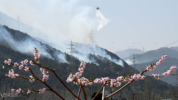 5일 오후 강릉 옥계면 일대 야산에 산불이 옮겨 붙어 소방헬기들이 진화작업을 벌이고 있다. 강릉=서재훈 기자