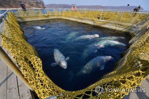 러시아의 '고래 감옥'. 타스=연합뉴스