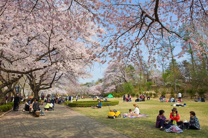 서울 광진구 서울어린이대공원에서 가족 단위로 나들이 나온 시민들이 즐거운 시간을 보내고 있다. 서울시 제공