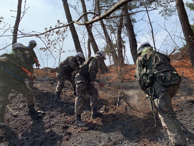 5일 육군 3군단 예하 공병여단 소속 장병들이 인제군 남면 남전 약수터 일대에서 산불 진화 작업을 하고 있다. 육군 3군단 제공