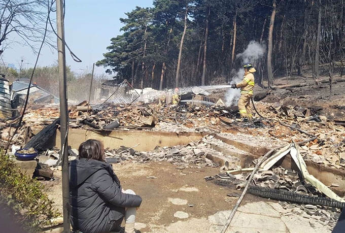 강원 강릉시 옥계 일대 산불로 피해를 입은 한 주민이 현장을 바라보고 있다. 강원소방본부 제공