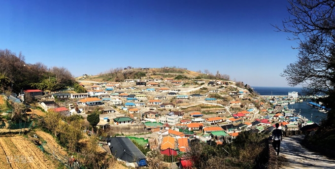 삼척항이 내려다보이는 언덕에 층층이 형성된 나릿골 마을. 한때는 볕 좋고 바람 좋은 산등성이 전체가 오징어 덕장이었다. 삼척=최흥수기자