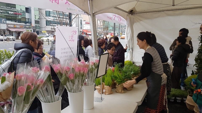 한국화훼농협이 서울 잠실의 한샘 플래그숍 앞에서 농림축산식품부가 4, 5월에 선정한 공기정화용 식물 스파트필름과 테이블 야쟈를 나눠주고 있다. 한국화훼농협 제공