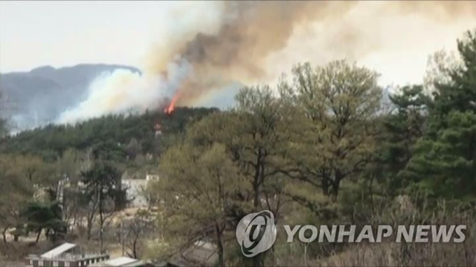 16일 대전 유성구 대정동 야산 산불 모습. 연합뉴스.