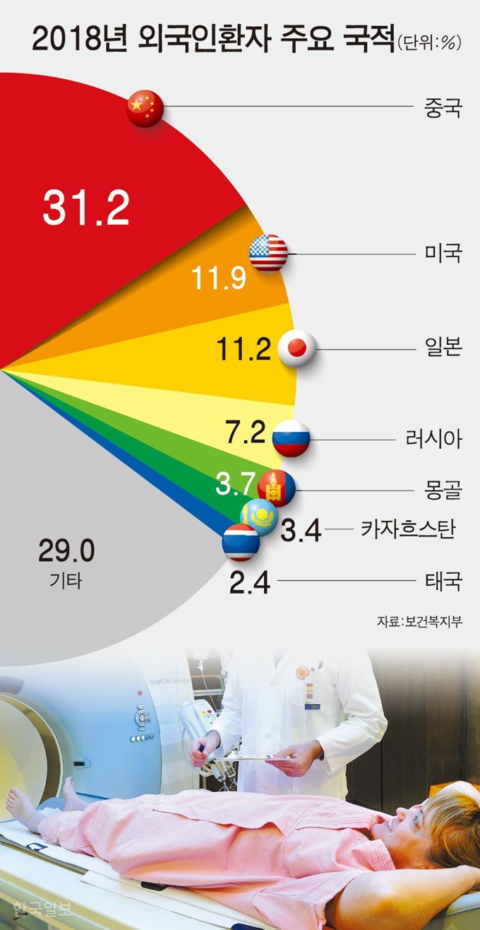 지난해 국내 유입 외국인 환자의 주요 국적. 강준구 기자