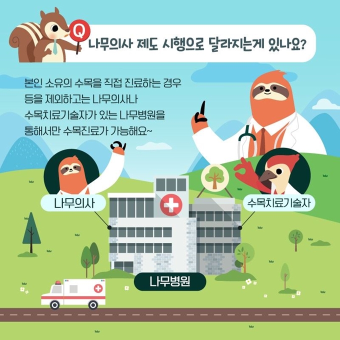 산림청이 올해 처음 시행하는 나무의사 자격 1차 시험이 27일 대전서 치러진다. 산림청 제공