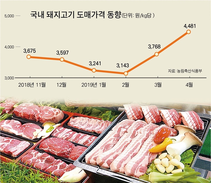 국내 돼지고기 도매가격 동향. 그래픽=박구원 기자