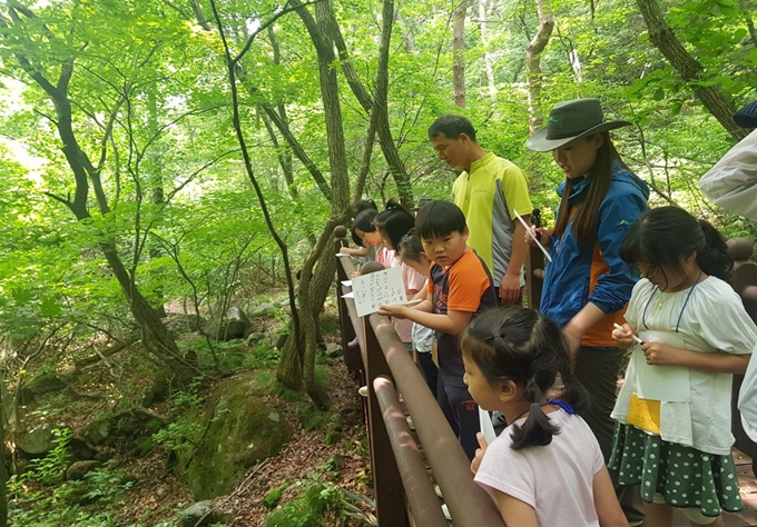 소백산생태탐방원 건강나누리 프로그램. 환경성 질환 환아와 가족을 대상으로 하는 자연체험 및 치유 프로그램으로, 전문가 강의, 천연 공기청정기 제작, 천연염색 등 자연속 체험을 통해 아토피와 천식을 극복하는 방법을 배워볼 수 있다. 환경부 제공