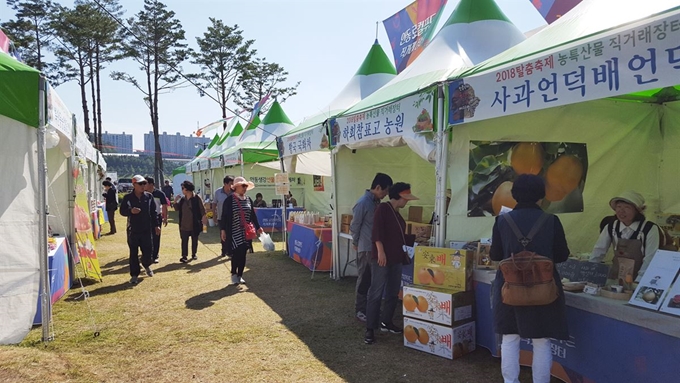 안동시가 한국농수산식품유통공사에서 주관한 ‘로컬푸드 안전공급기반 구축지원 공모사업’에 선정됐다. 안동시 제공.