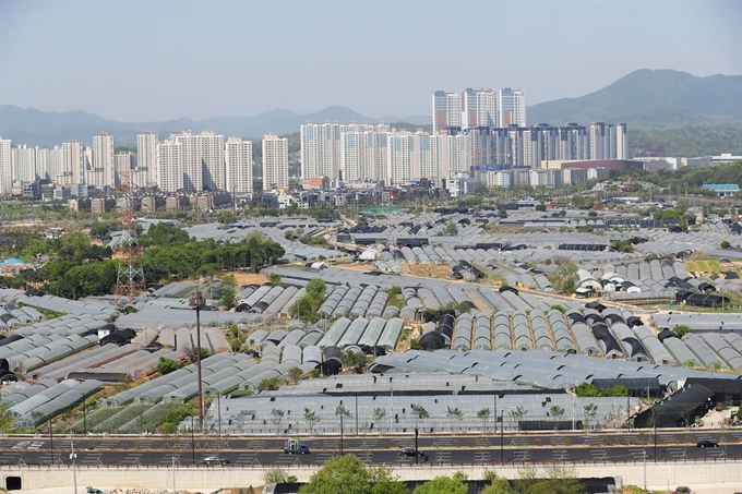 7일 3기 신도시 예정지로 선정된 경기 고양 창릉동 일대. 연합뉴스