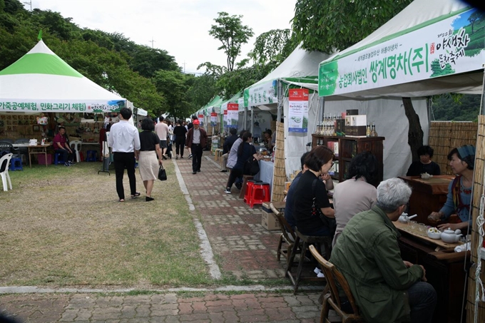 하동녹차의 세계화와 대중화에 중점을 둔 제23회 하동야생차문화축제가 10일부터 4일간 차 시배지 화개면과 악양면 일원에서 개최된다. 하동군 제공