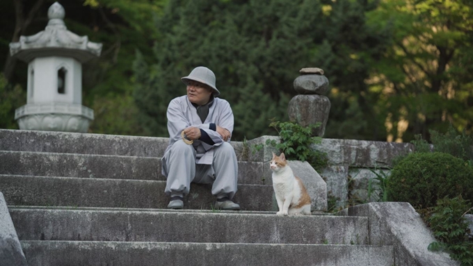 보경 스님이 2일 전남 순천시 송광사 내 산책 중에 탑전에 오르는 계단에 '냥이'와 함께 앉아 같은 곳을 바라보고 있다. 동그람이 최필선 ww5654@naver.com